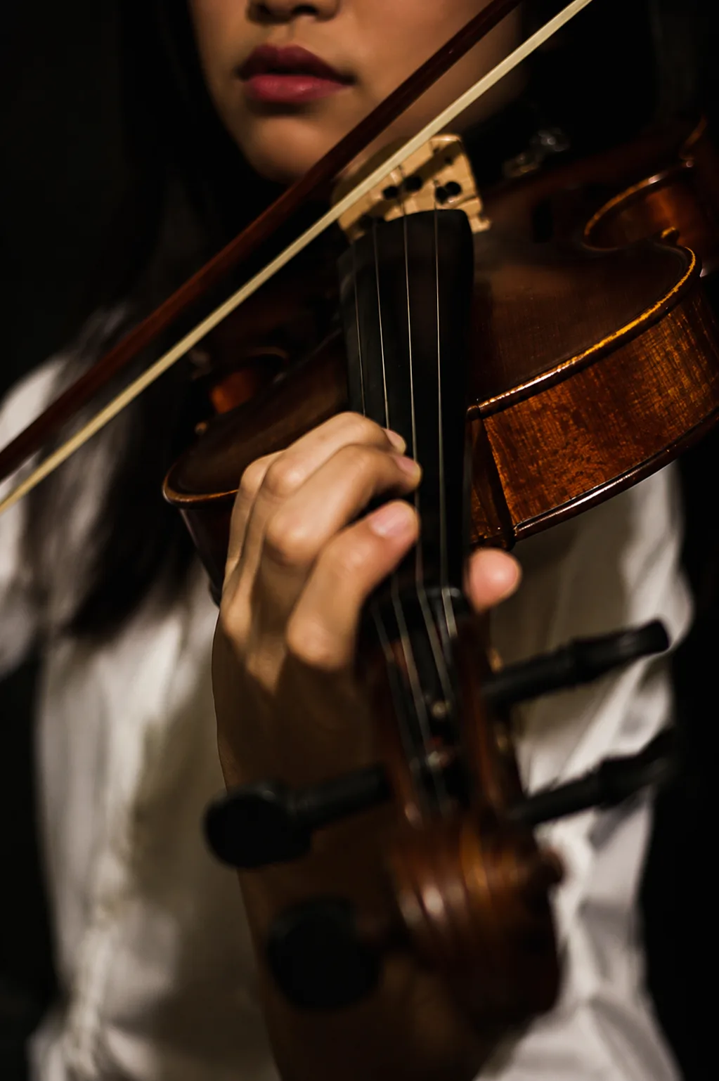 Violin Western moment 4