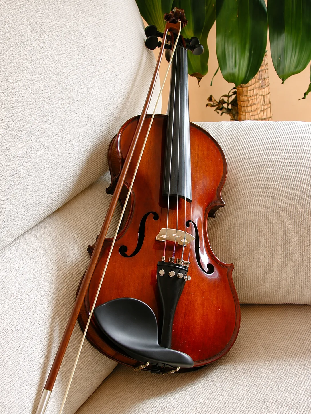 Violin moment 1